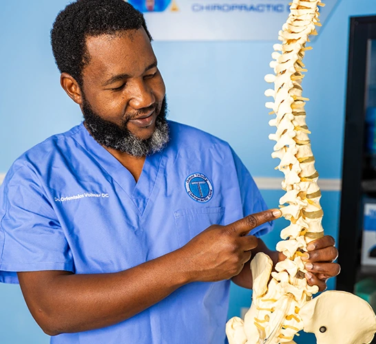 Chiropractor demonstrating spinal anatomy model.