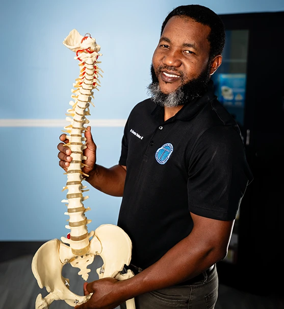 Chiropractor holding a spine model.